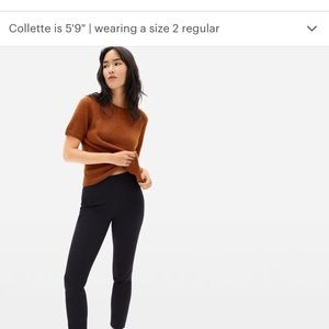 Everlane side zip stretch cotton pant